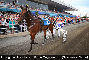 Bee A Magician's Final OSS Race