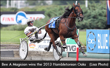 Bee A Magician Returns To Canada