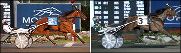 Trotting Mares Ready To Take 'Flight'