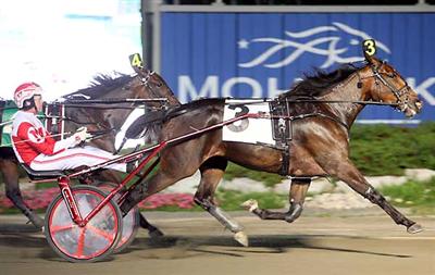 Seven Straight For Bella Dolce