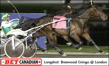 Saturday's Bet Canadian Picks