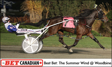 Thursday's Bet Canadian Picks