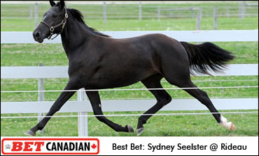 Friday's Bet Canadian Picks