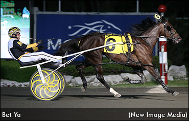 Series Sequels In The Books