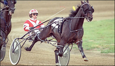 Bettors Delight To Pennsylvania