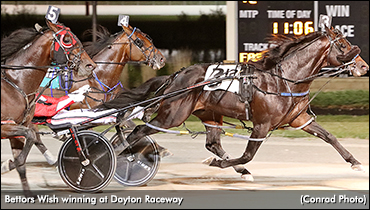 Bettors Wish Rebounds In Dayton Derby