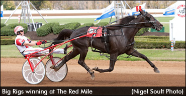 O'Donnell Has "Big" Plans For 2012