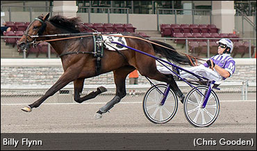 Harness Racing's Next Hot Cross?