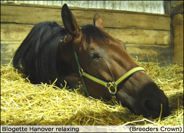Burns Hopes To Crown Another Filly Burns Hopes To Crown Another Filly