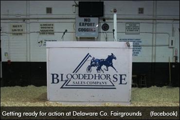 Pre-Jug Mixed Sale Underway