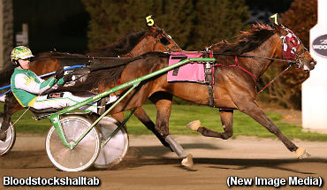 Tie Silk Final To Bloodstockshalltab