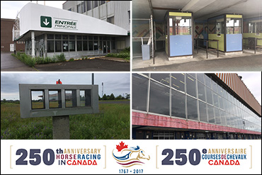 Good Morning From Blue Bonnets