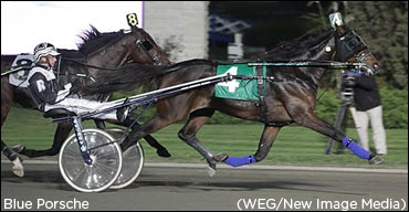 Road To The Hambo Heats Up