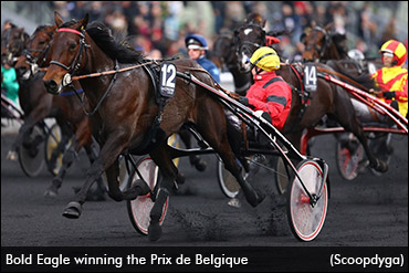 Prix d'Amerique Field Set