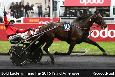 Bold Eagle Soars In Prix d'Amerique
