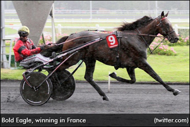 Bold Eagle Soars In Return