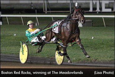 Boston Red Rocks Retired, To Stud