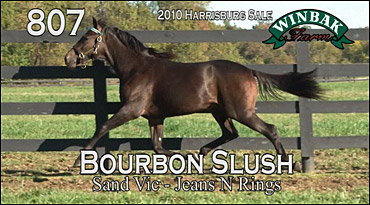 Can Bourbon Slush Attract Owners?