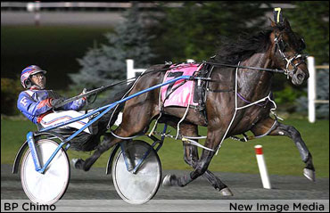 Gold Elims Galore At Mohawk