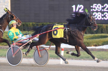 Bramalea Hanover Repeats 