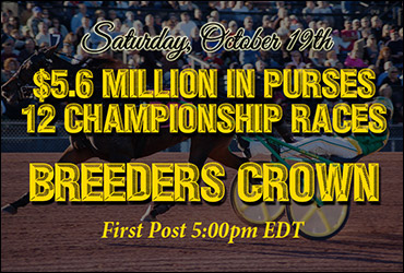 2013 Breeders Crown Fields Set