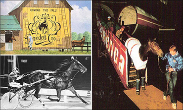 Rewind: The First Breeders Crown