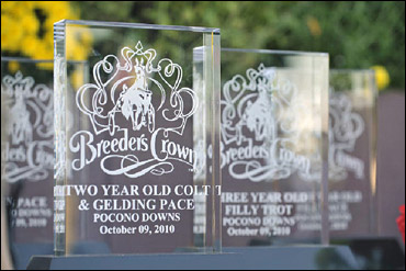 2010 Breeders Crown In The Books