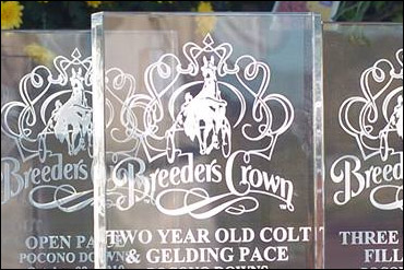 Six Supplement To Breeders Crown