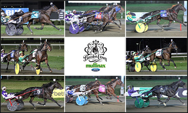 Breeders Crown Weekend Concludes