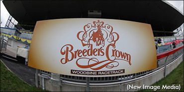 Breeders Crown Trot Redrawn