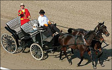 Standardbreds At The Breeders' Cup