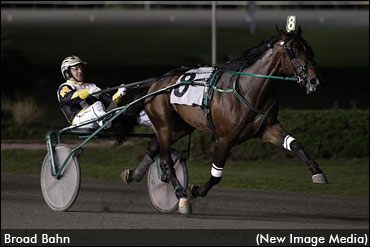 Trotter, Trainer On The Mend