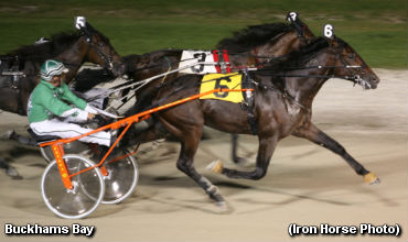 Buckhams Bay Grabs Gold Again