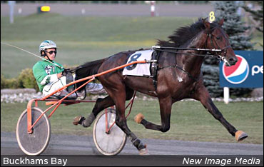 Buckhams Bay Returns To Gold Series Winner’s Circle