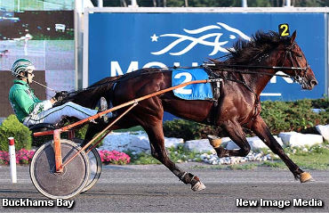 First Timers Take Gold Elims