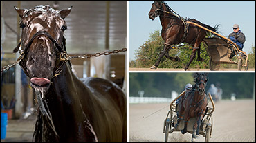 Burke Brigade Prepares For Battle