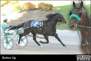 Button Up Passes Button Up Passes