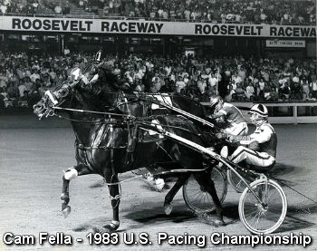 Clements Reflects On Cam Fella