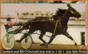 O'Donnell On Cambest's Mark