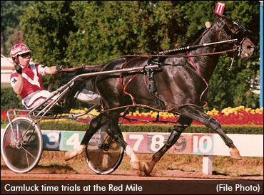 Three Reasons To Celebrate