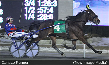 Owner Considers Trotter A 'Gift'