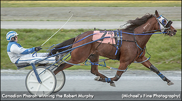 Track Record For Canadian Pharoh