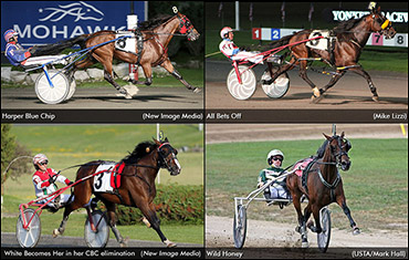 Terrific Thursday Card At Dover