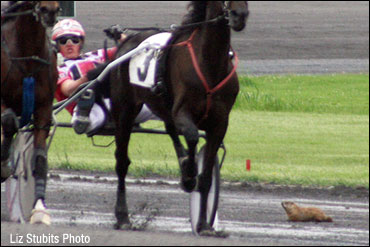 Great Photo Needs A  Caption