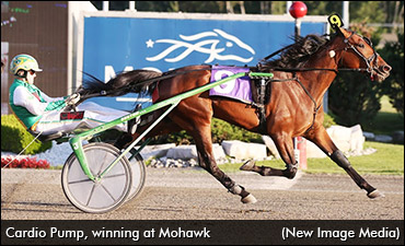 OSS Consolation Mania Hits London