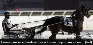 Numbers Adding Up For Auciello