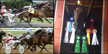 Casimir Camotion Passes