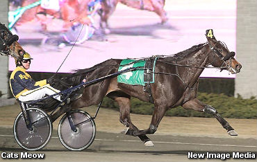 Damsel Series Underway At Woodbine