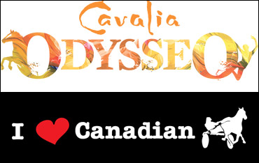 Odysseo Contest Deadline Nears
