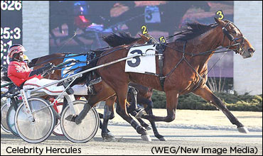 'Hercules' Strong In Don Mills